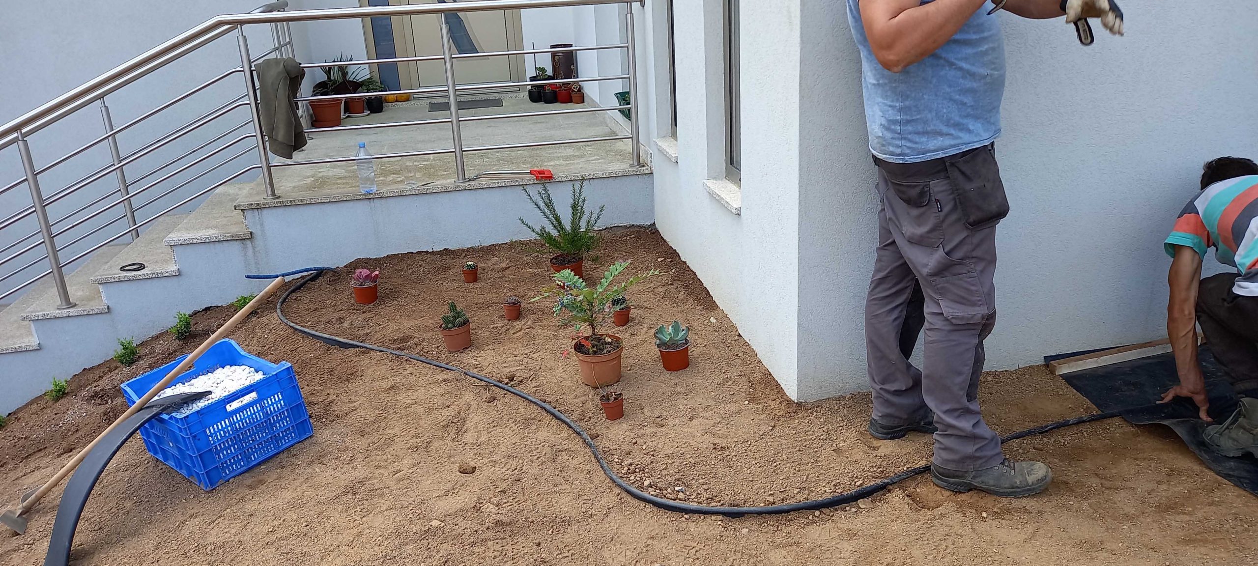 service single images