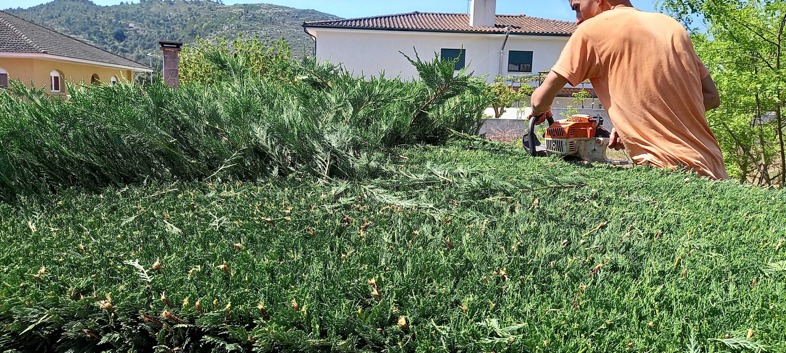 service single images