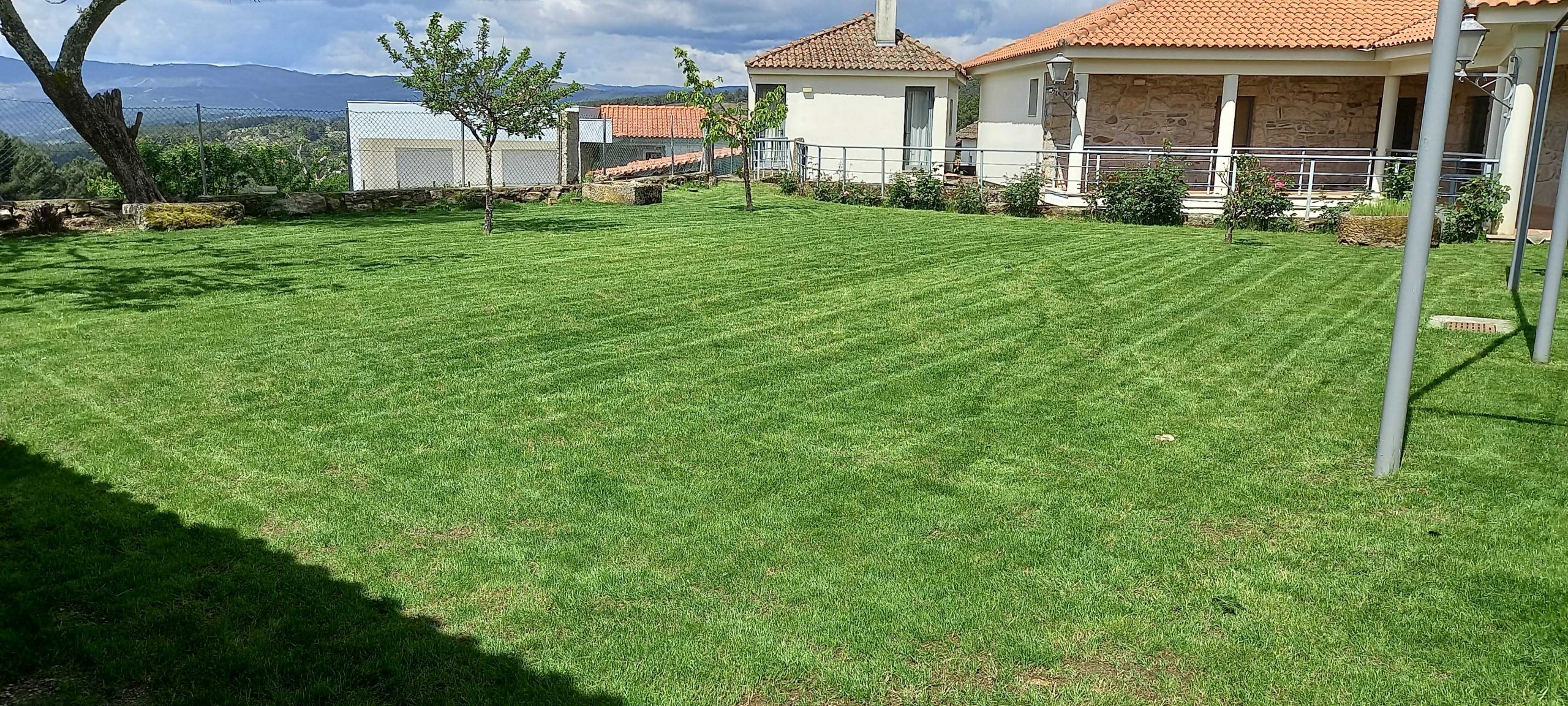 service single images