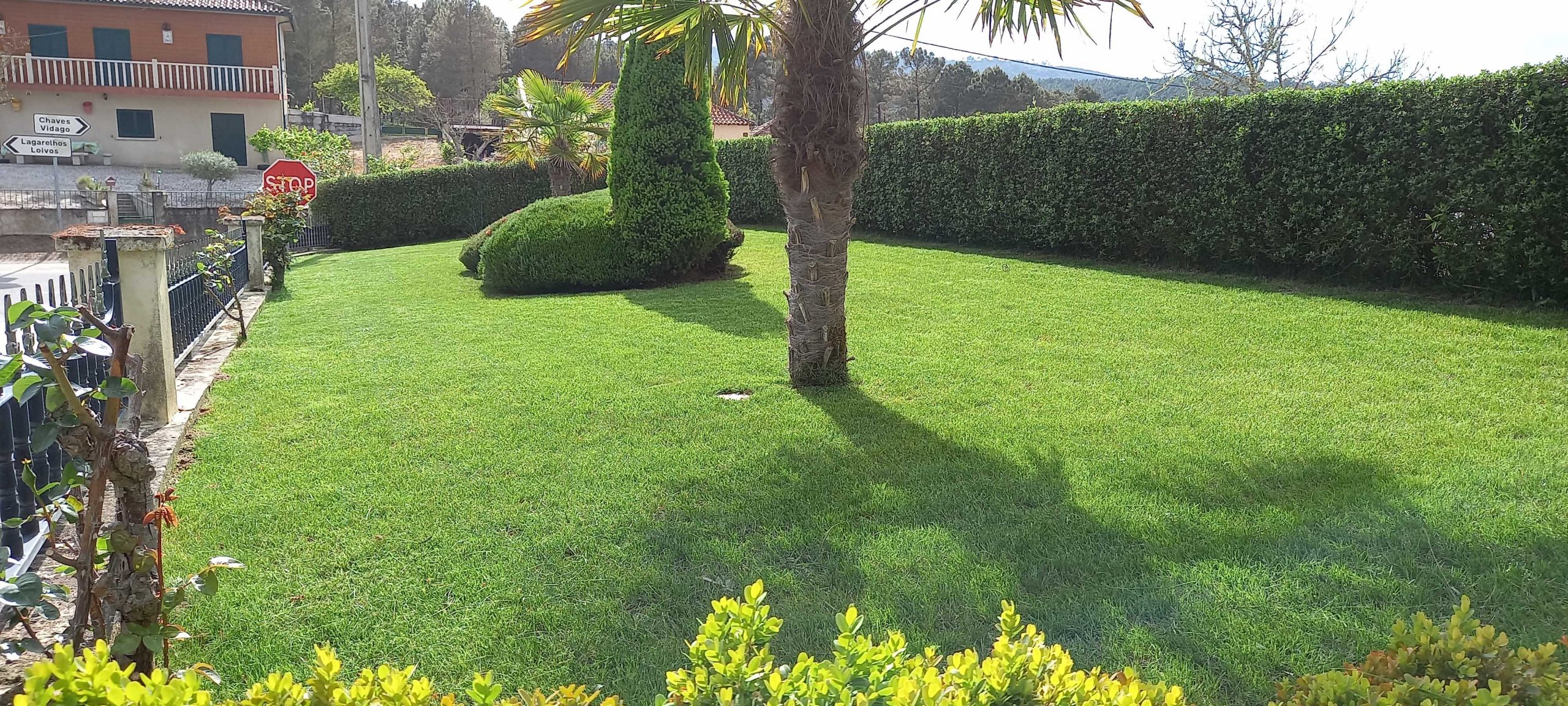 service single images