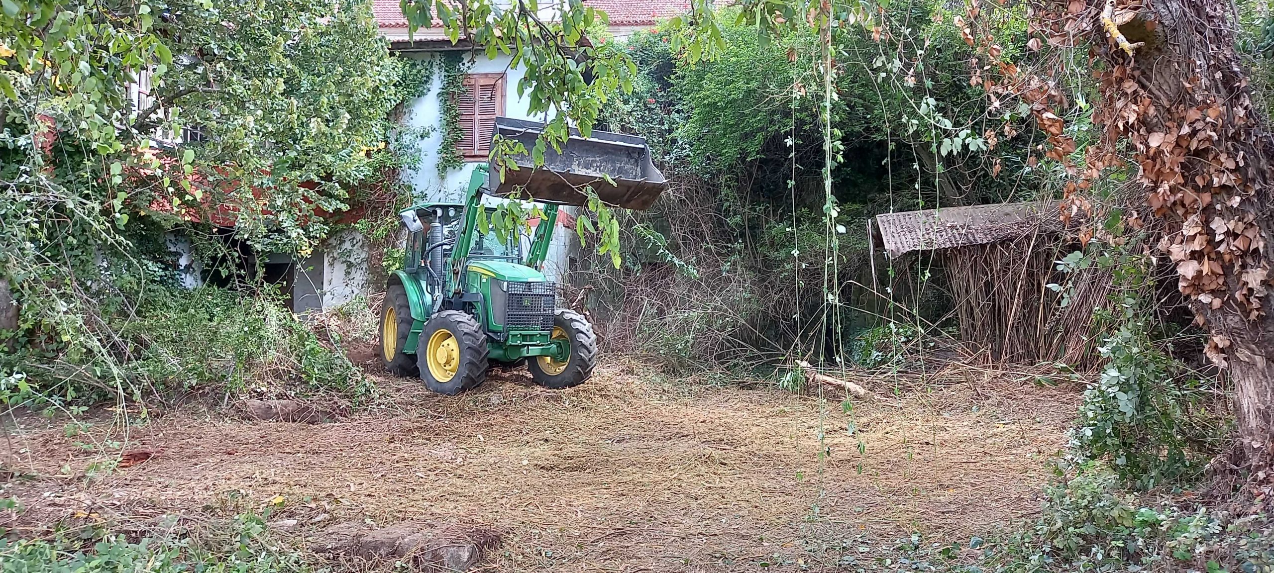 service single images