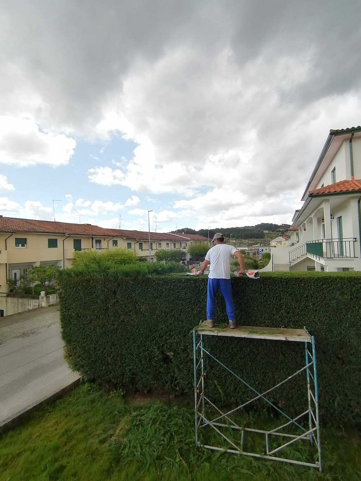 service single images