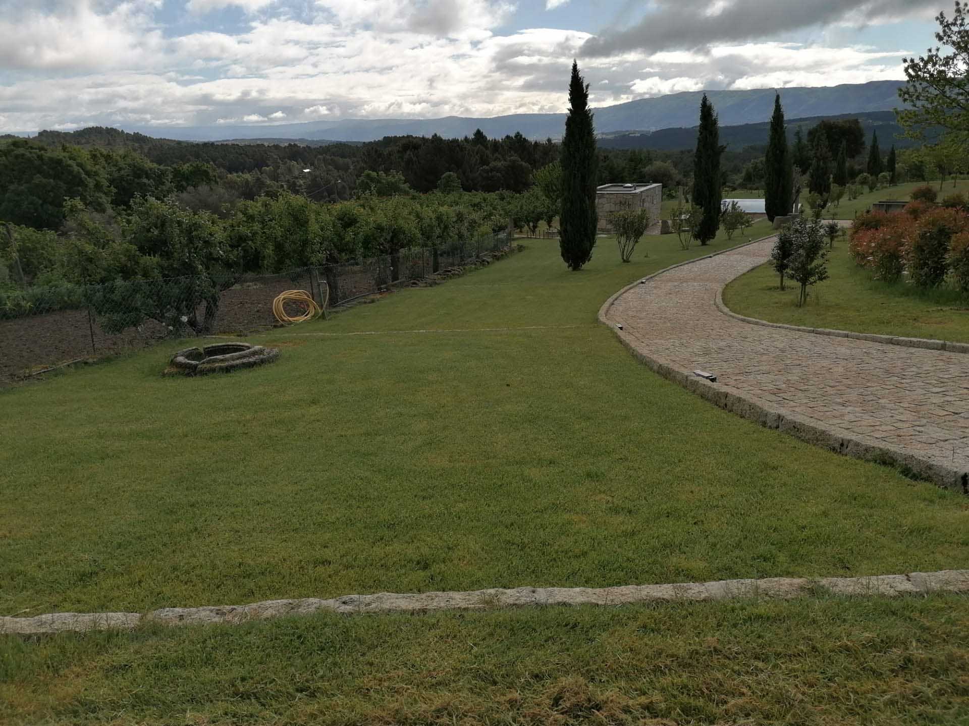 service single images