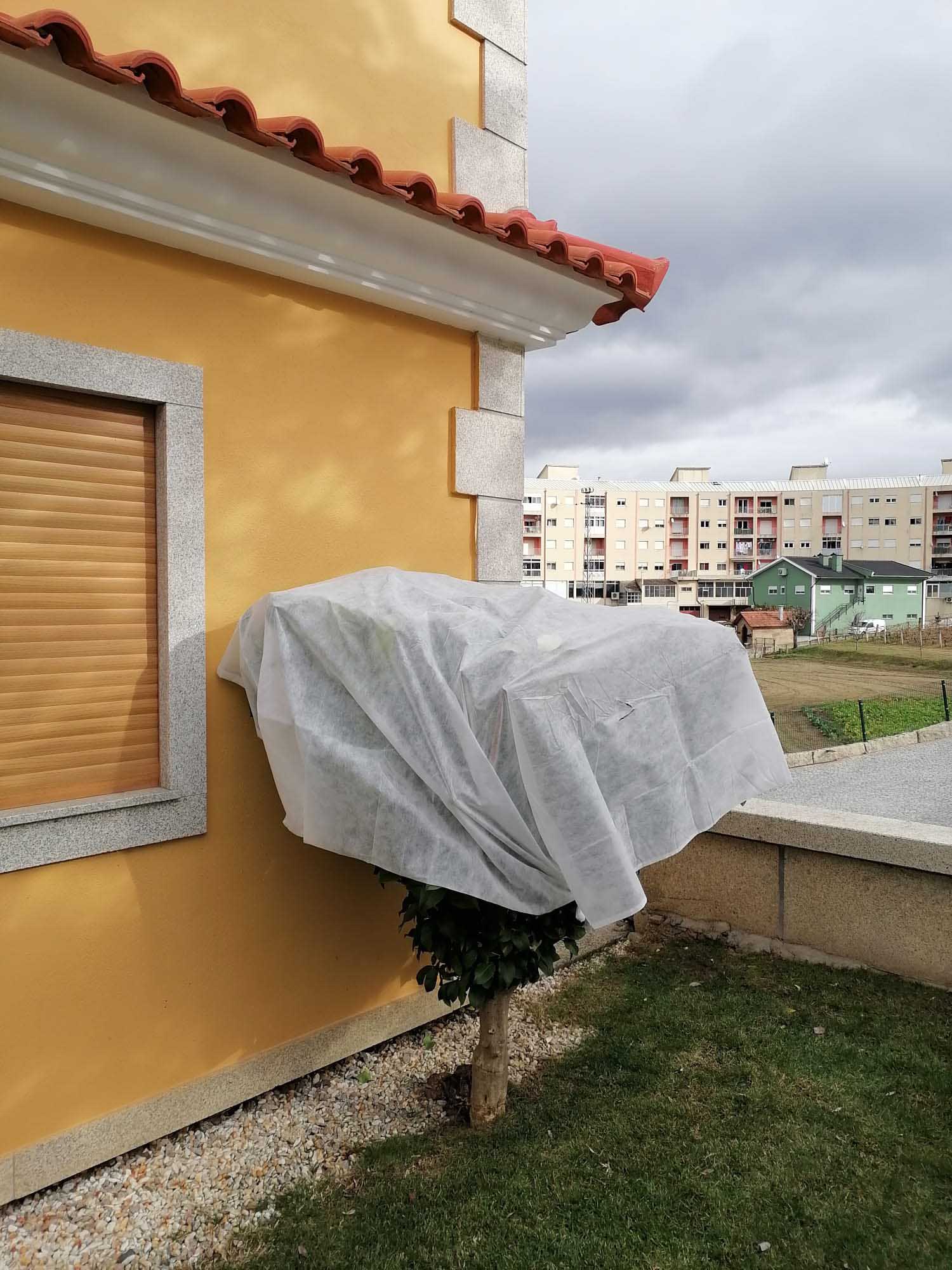 service single images