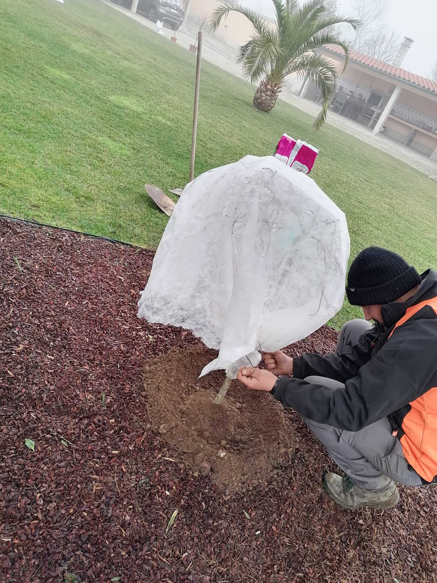 service single images