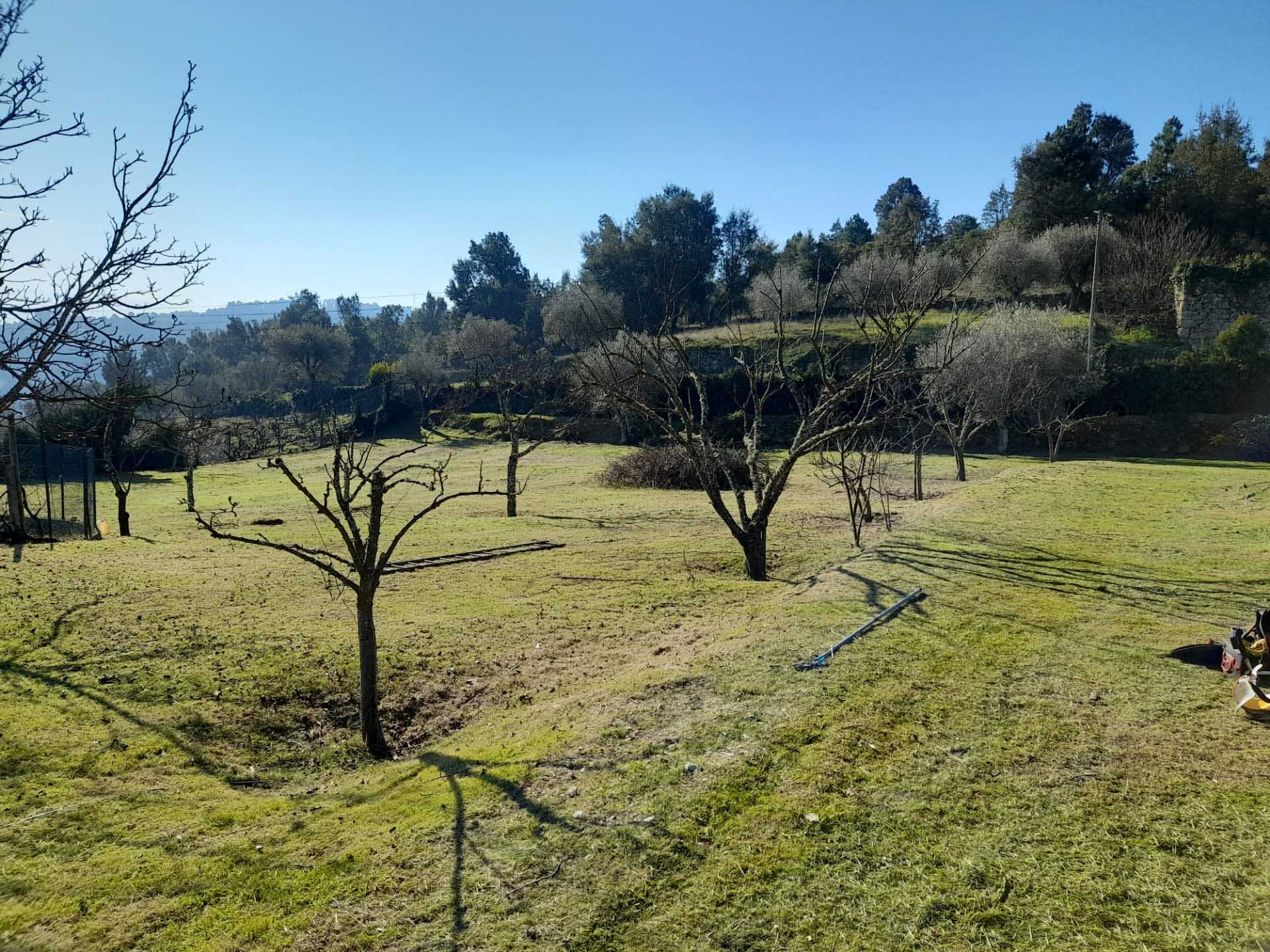 service single images