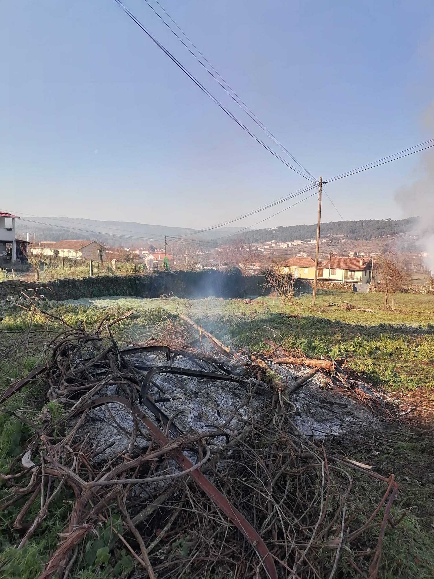 service single images