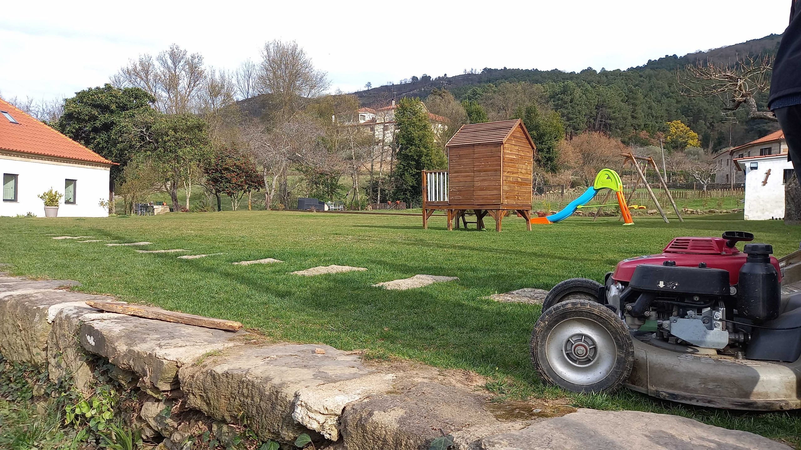 service single images