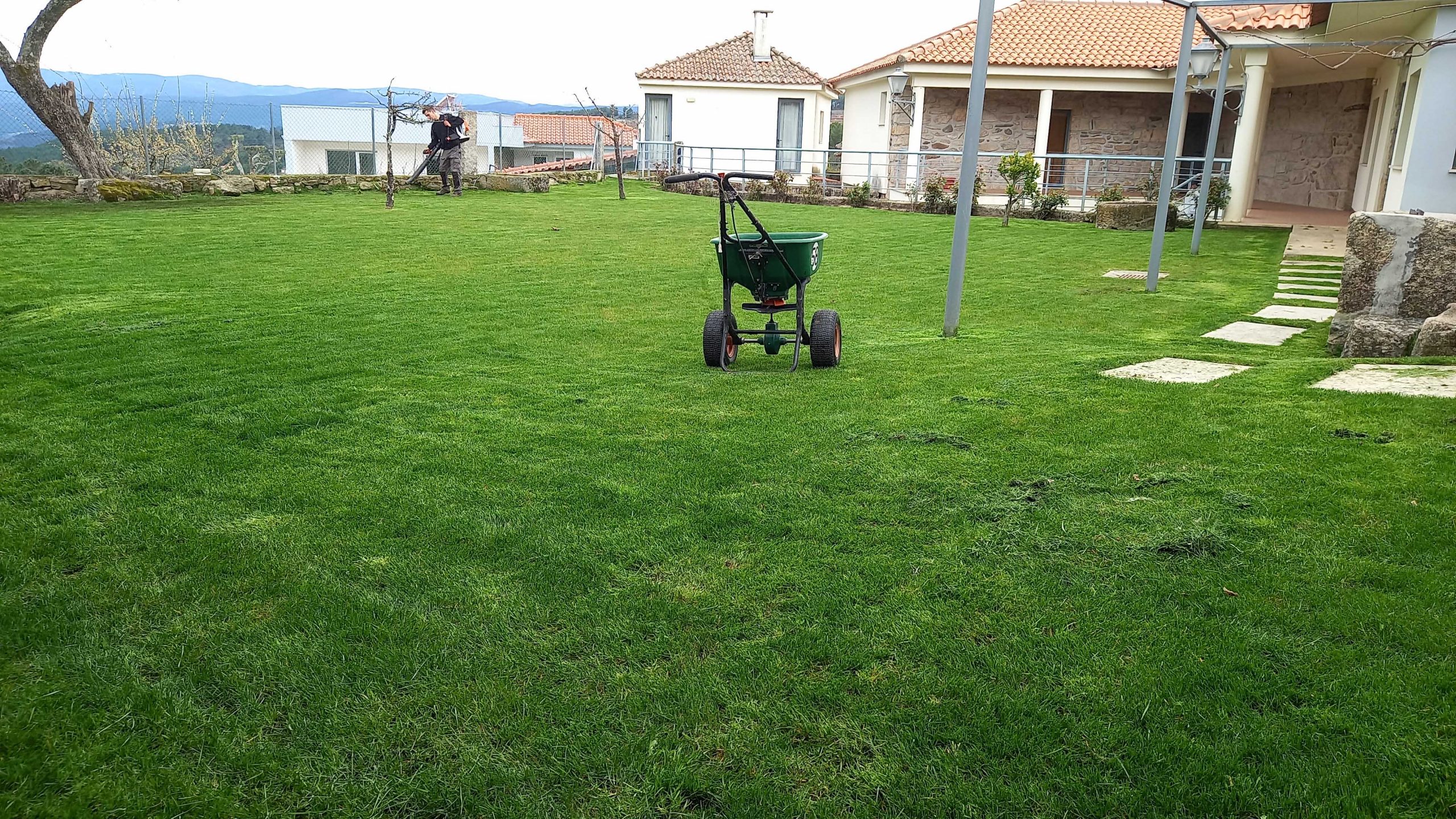 service single images