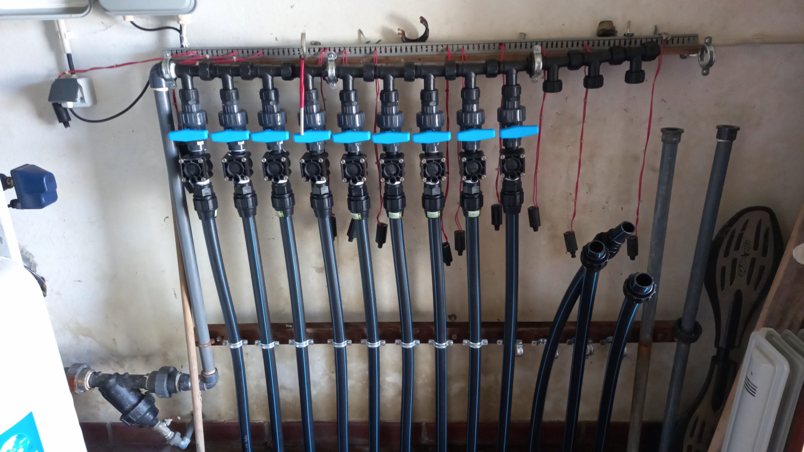 service single images