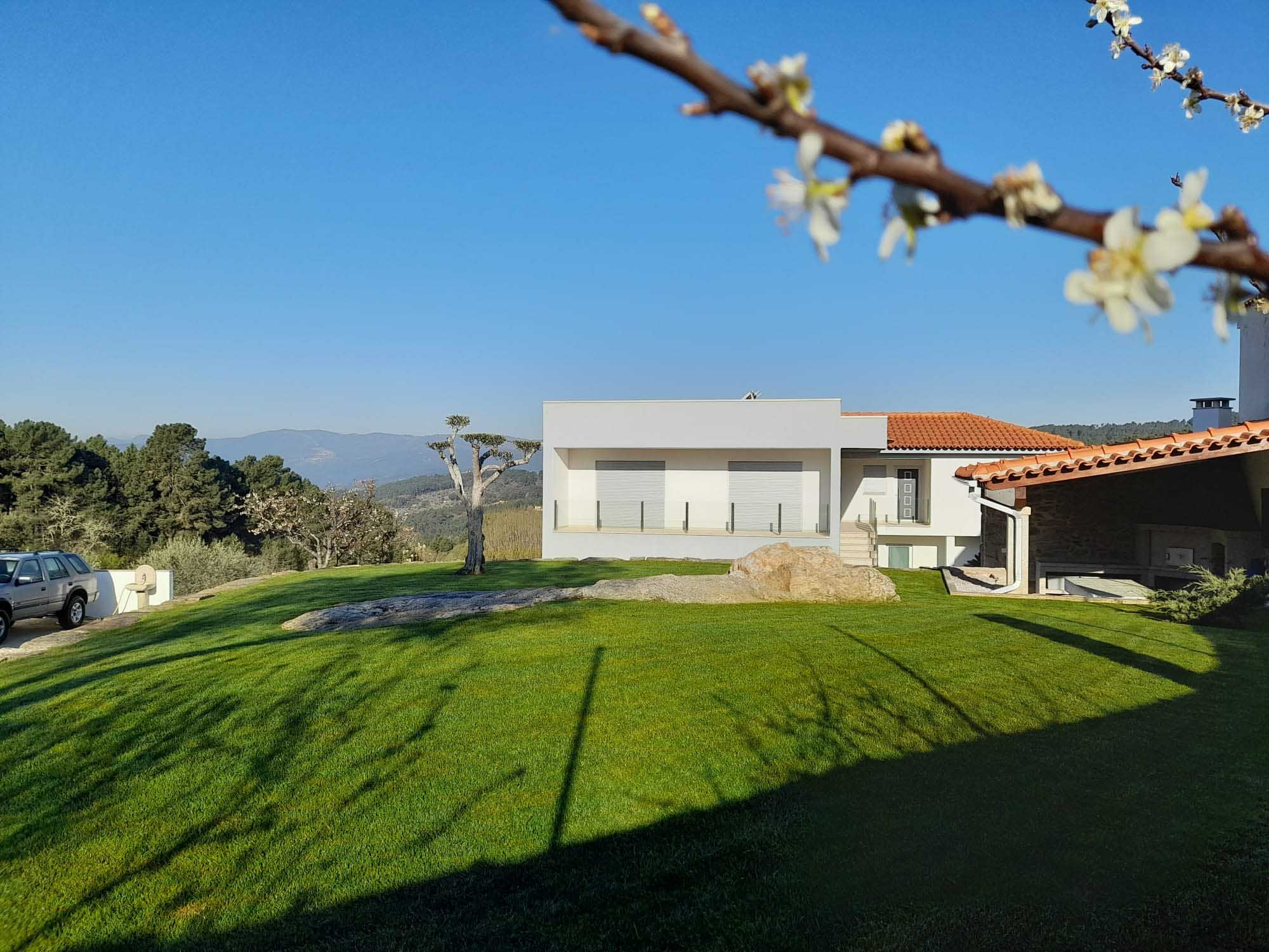 service single images