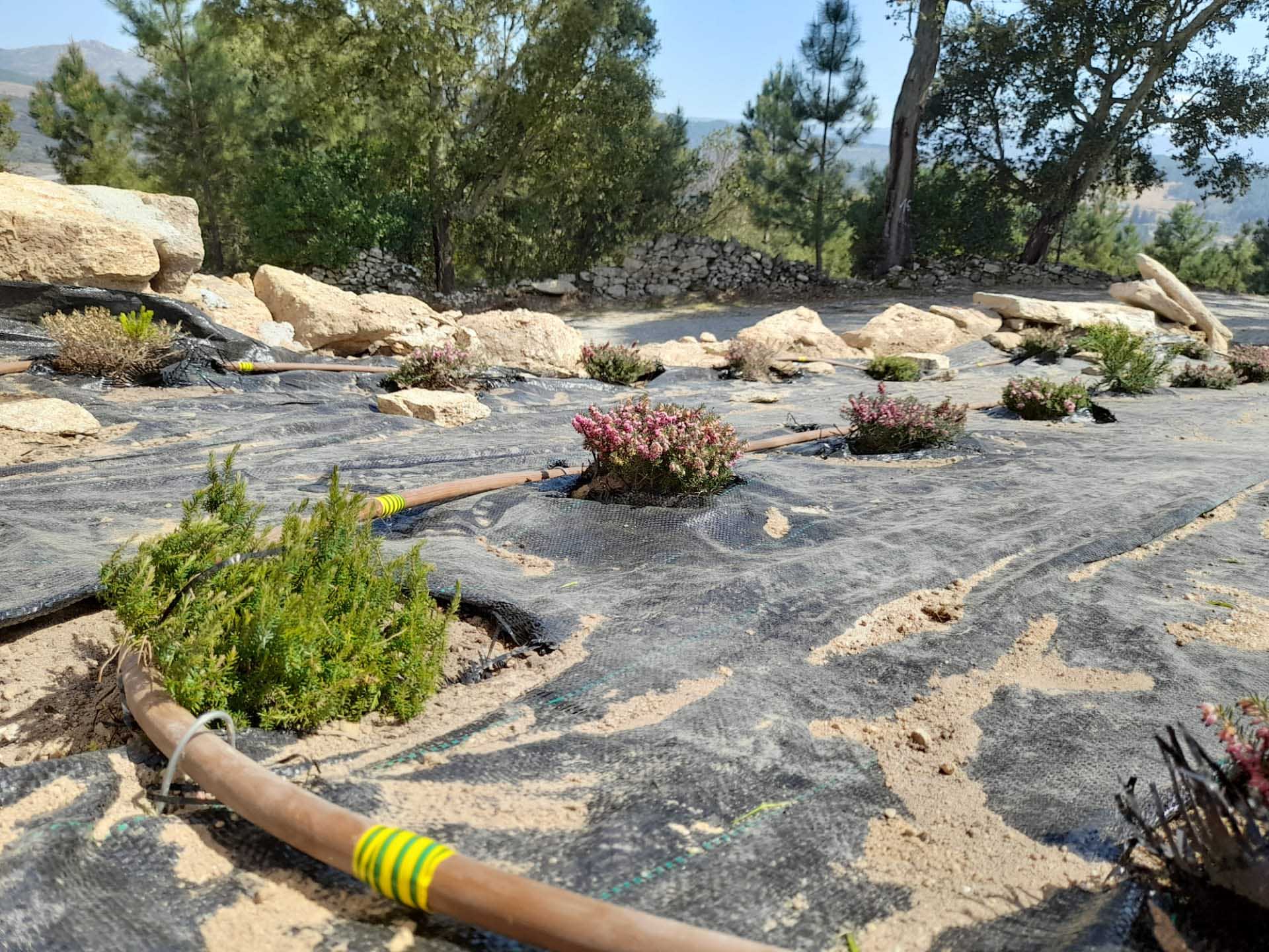 service single images