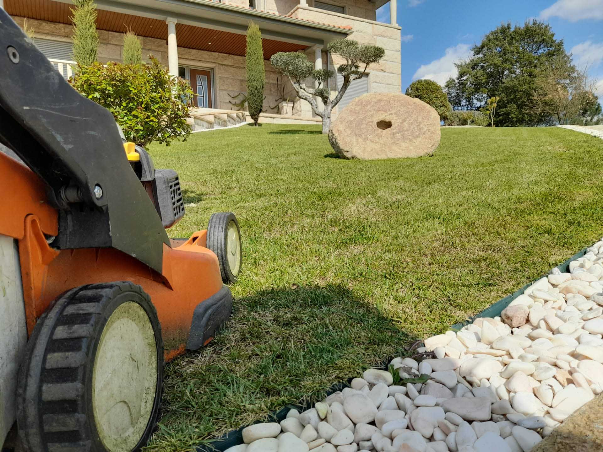 service single images