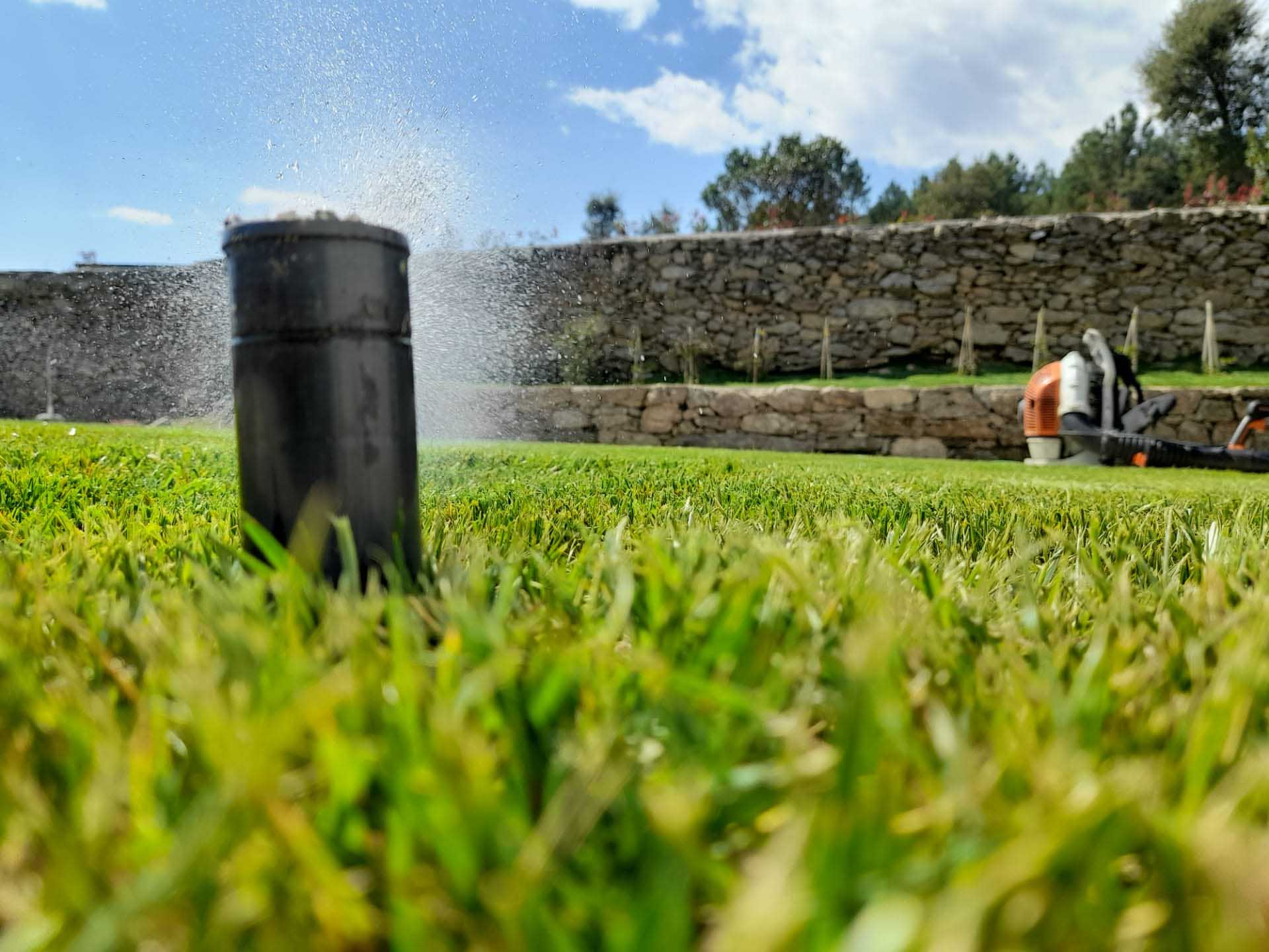 service single images